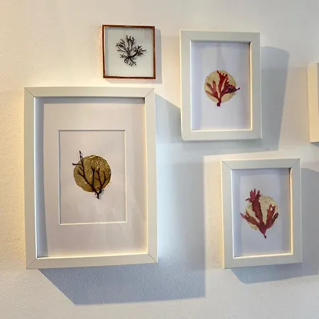 Ocean House Relax, Nature & Fun