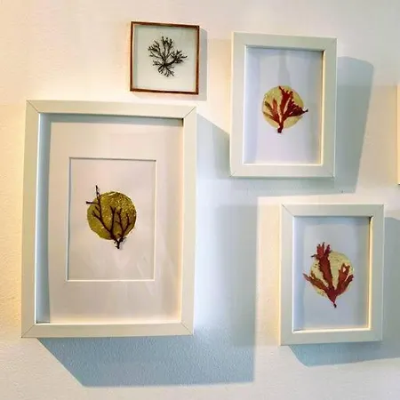 Prázdninový dům Ocean House Relax, Nature & Fun